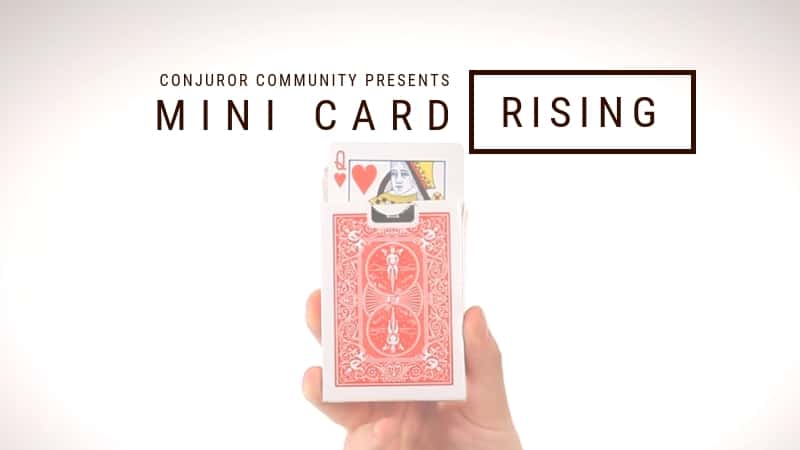 Mini Card Rise