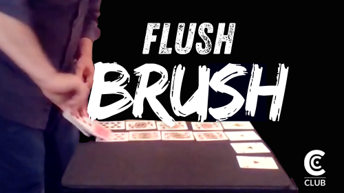 FlushBrush2026
