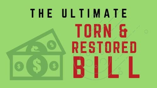 torn and restored bill (1)